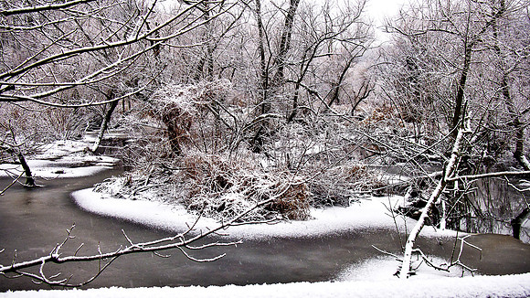 Abstract Winter Creek