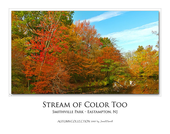 Stream of Color Too