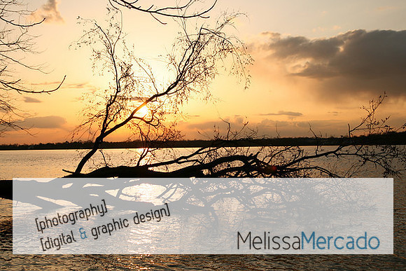 Melissa J. Mercado Photography @ Fortysevenmoose.com
