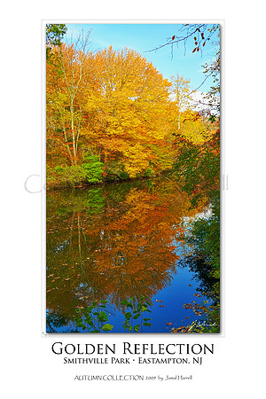 Golden Reflections