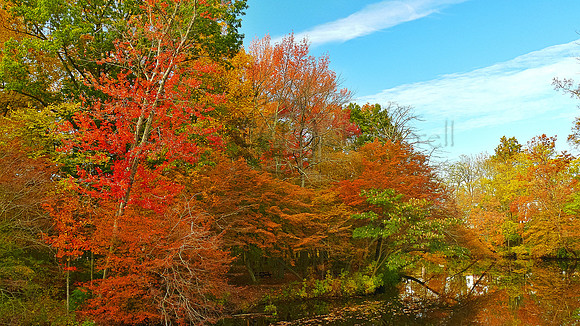Stream of Color Too